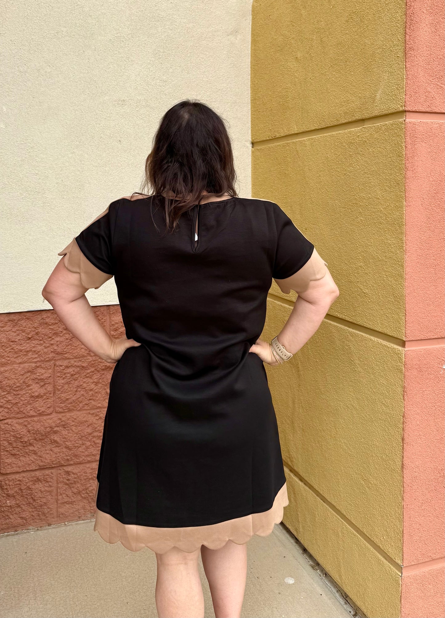 Black/Taupe Simple Dress