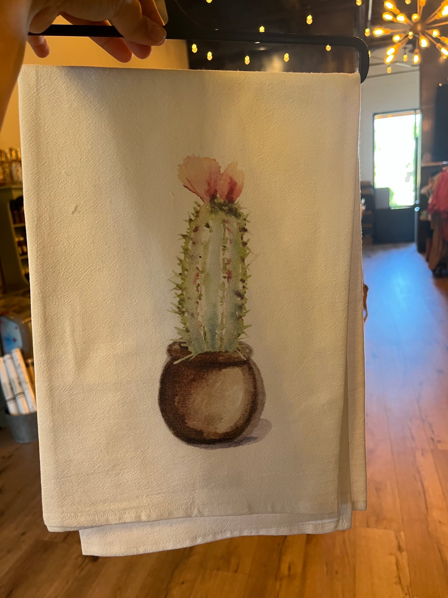 Potted Cactus 3 - 85 Local