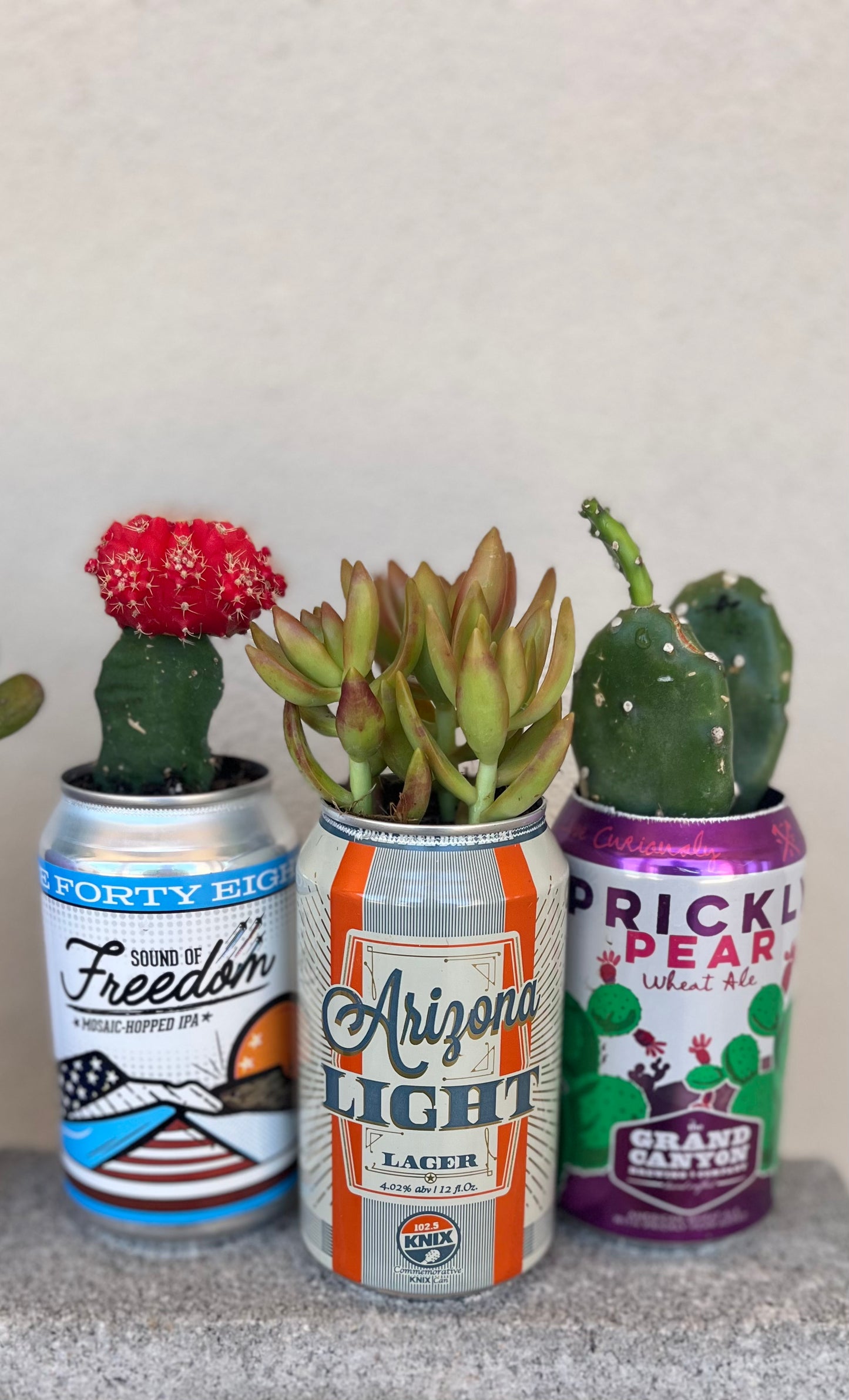 Life with would "Succ" without Dad! June 17th 10 am- 2 pm
