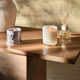 Driftwood Beach diffuser