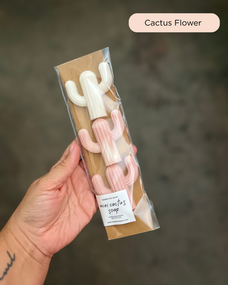 Cactus Mini Soap (3-Pack)