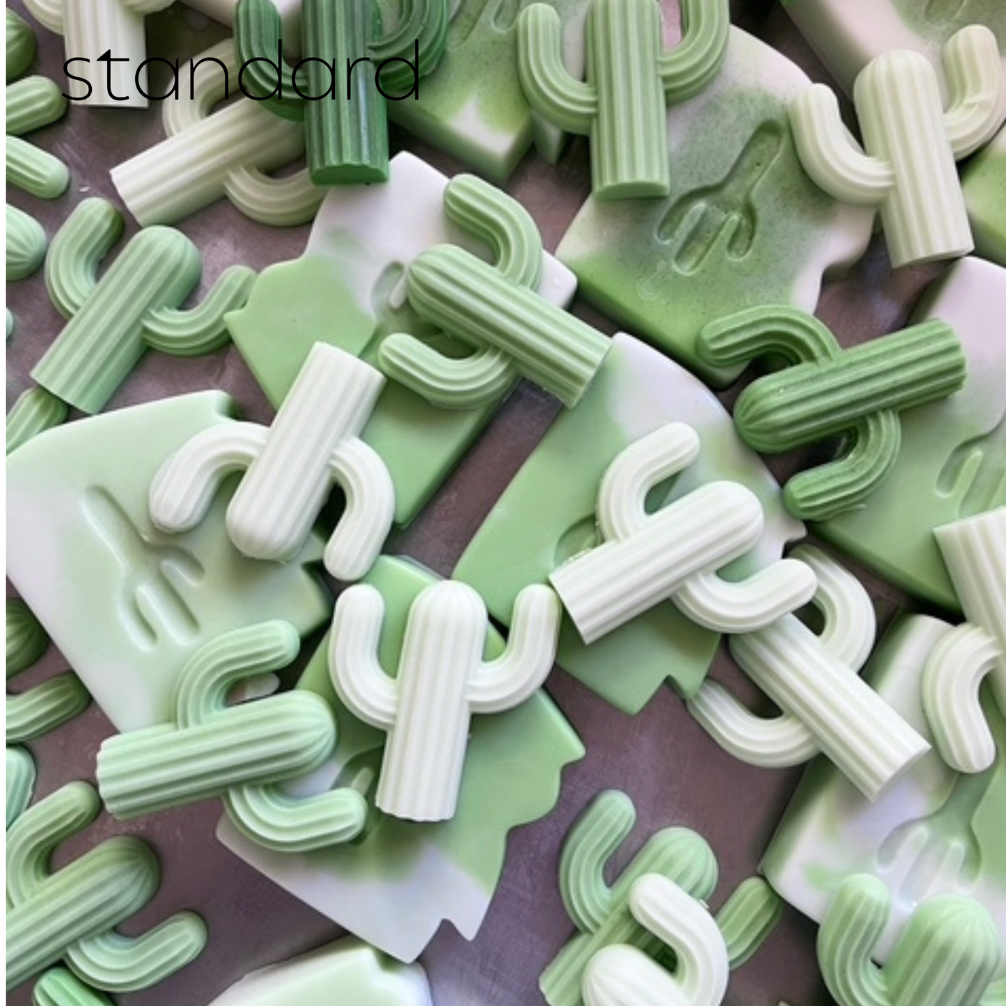 Mini Cactus Soap- Individual (single)