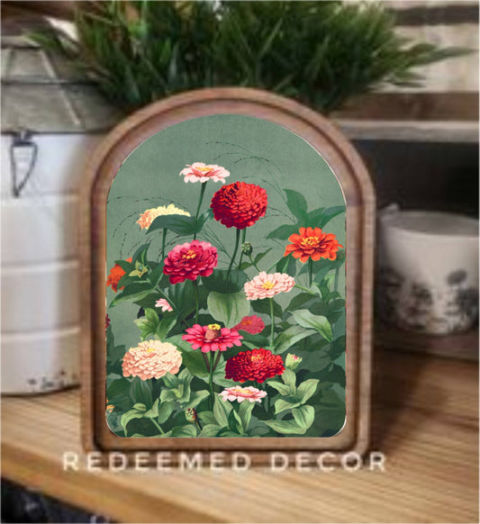 6x8 Arch Top Vintage Zinnias Framed Art