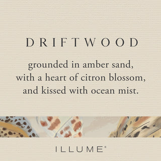 Driftwood Beach diffuser