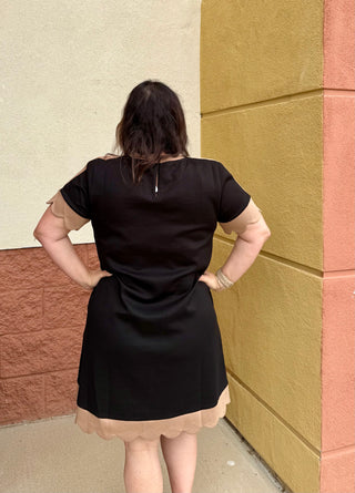 Black/Taupe Simple Dress