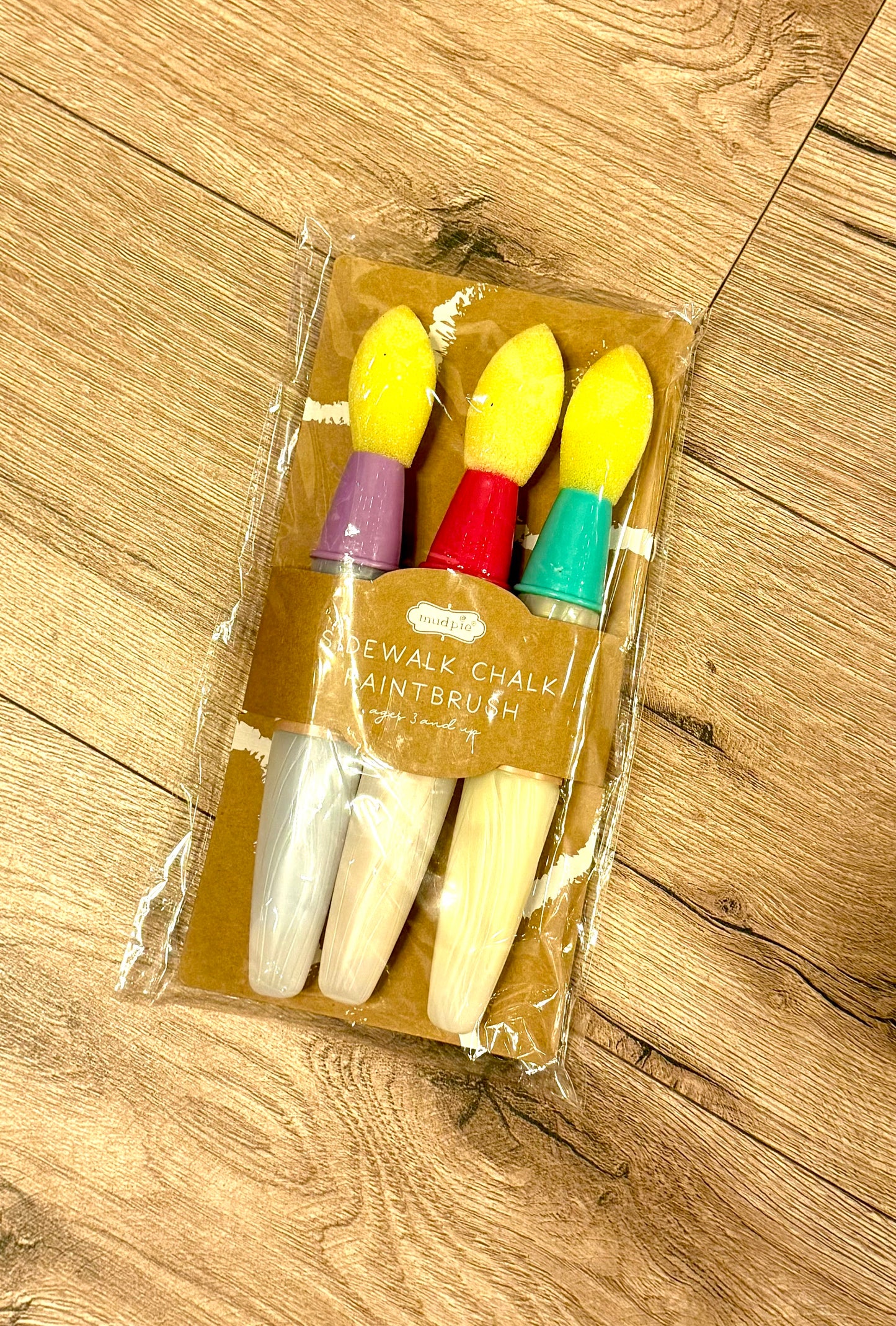 Pink Paint Brush Chalk Set