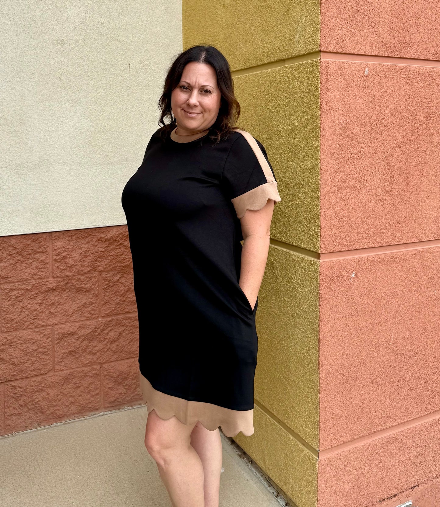 Black/Taupe Simple Dress