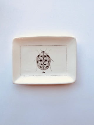 Ceramic dish w insect