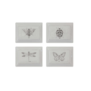 Four framed illustrations of insects on a white background