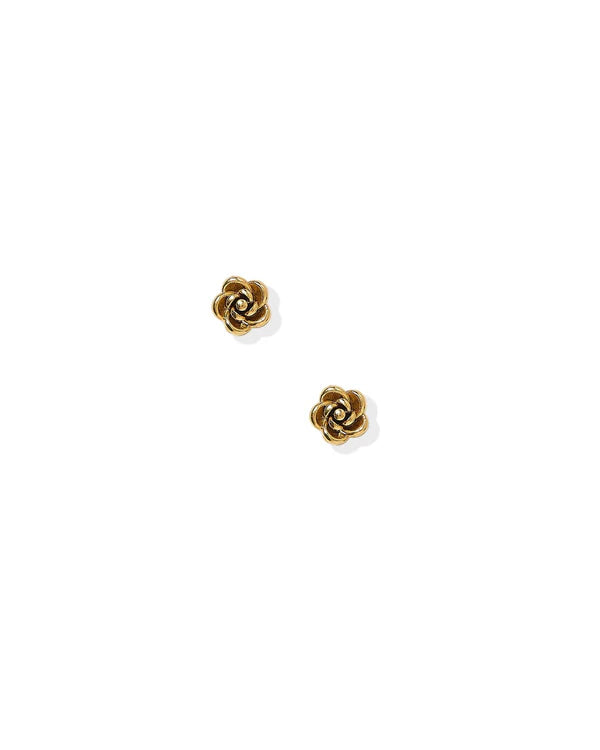 Screwback Stud Earrings- Rose Gold