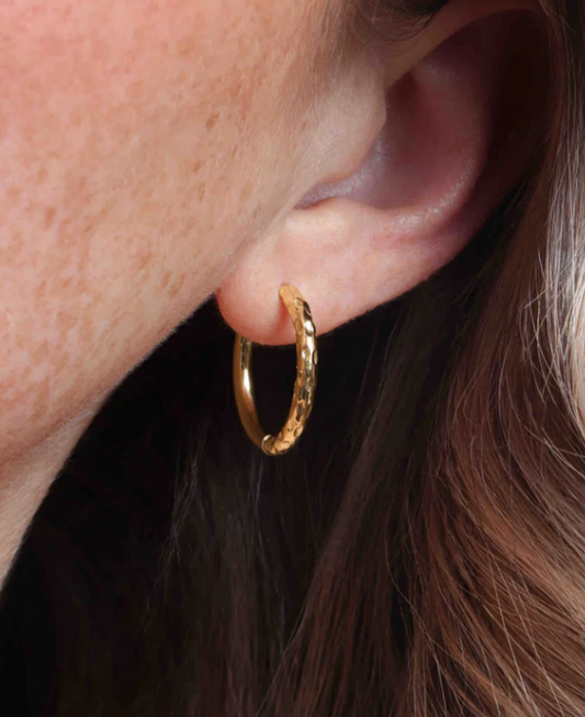 Tara Huggies 20mm Gold Rev
